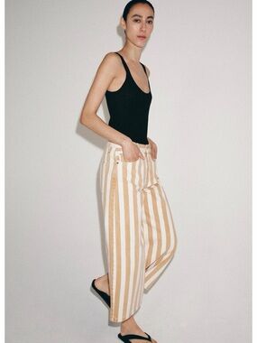 Zara Vertical Stripe Wide-Leg Pants in Beige & White